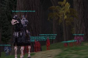 kithicor forest for hunting everquest platinum