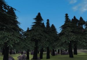 everquest platinum hunting in jagged forest